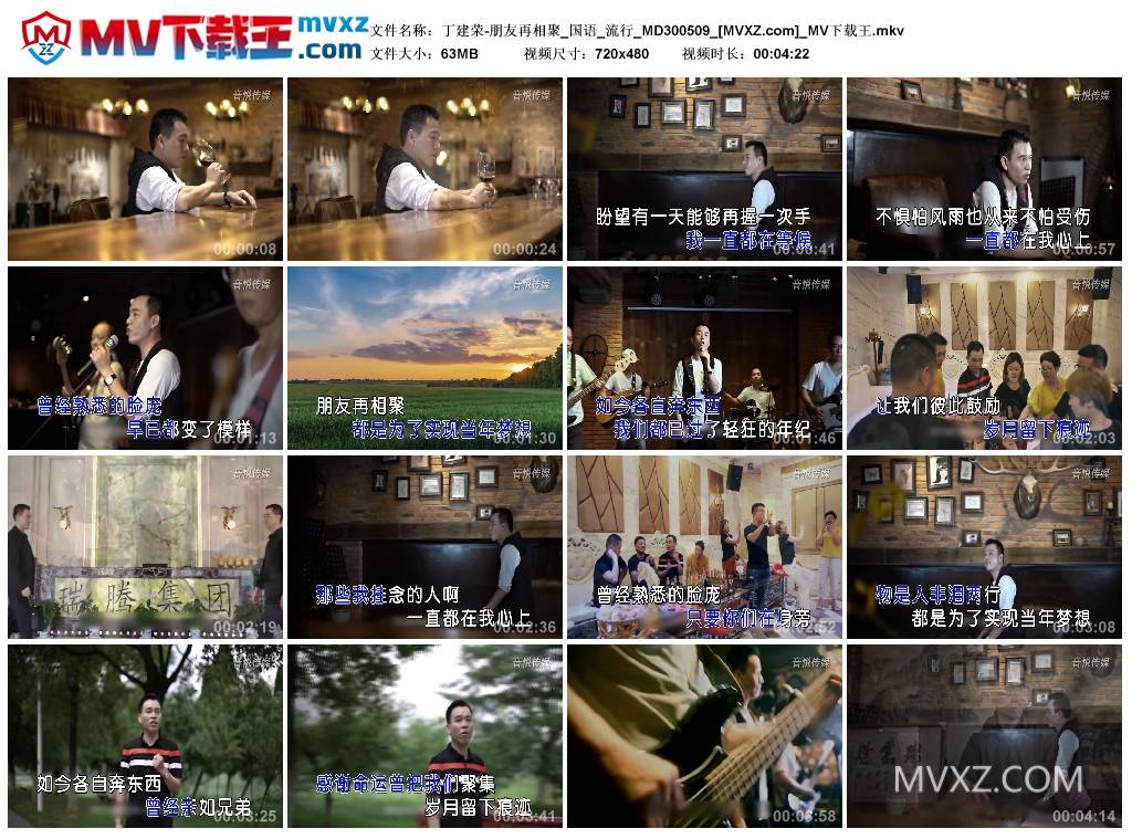 丁建荣-朋友再相聚_国语_流行_MD300509